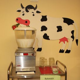 Rohmilch